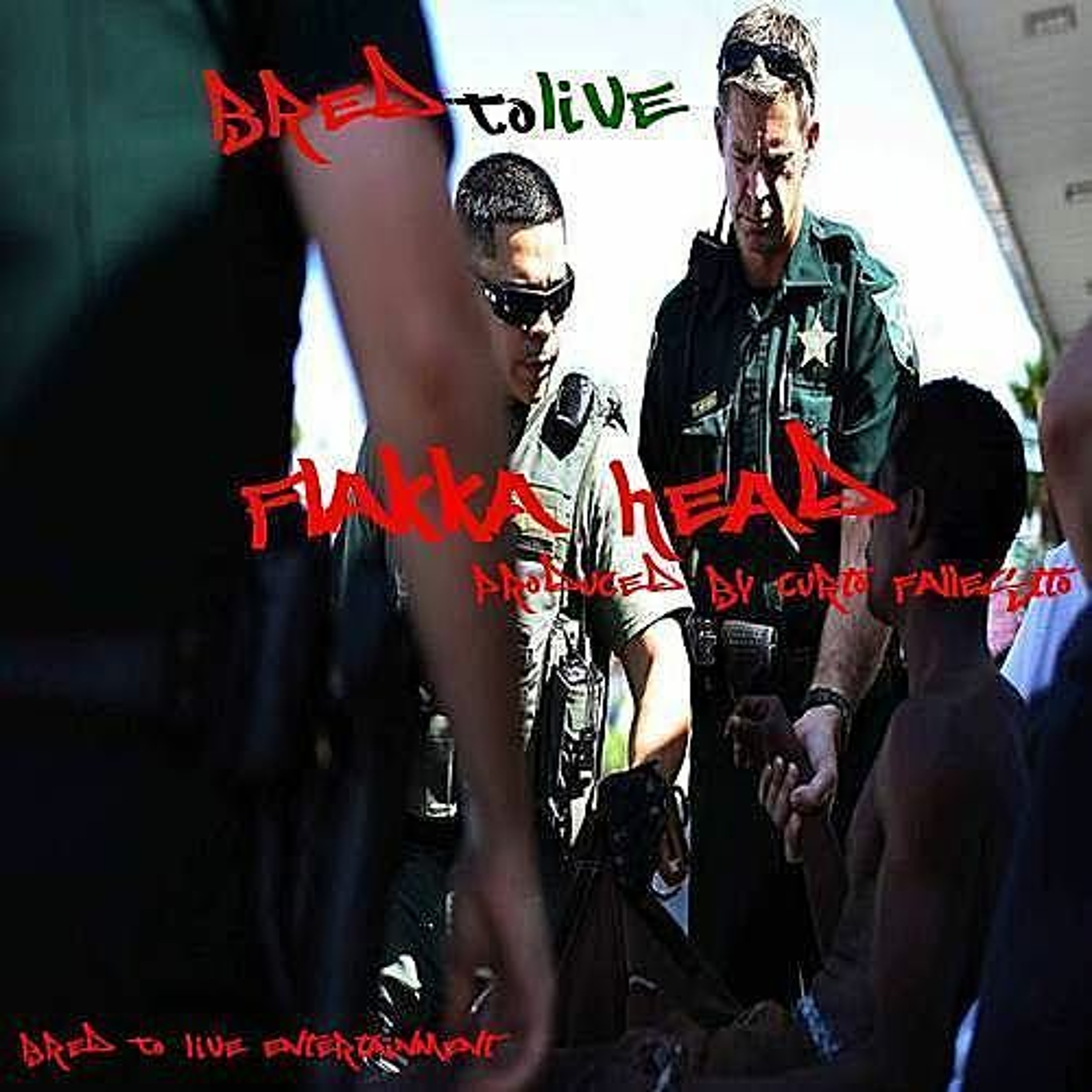 Flakka Head (Prod. By Curtco Fallesetto) episode artwork