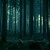 Artwork for Silent Forest