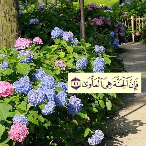 Surah Naziat سورة النازعات هزاع البلوشي