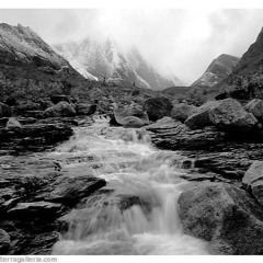 Nomis - Glacier