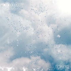 Yagya - Rigning Fimm