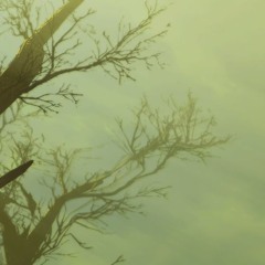 ///////RADIATION///////