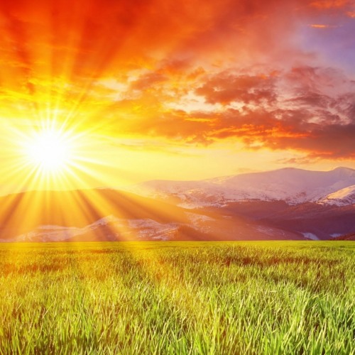 [Official Audio] HOẠ | PB NATION