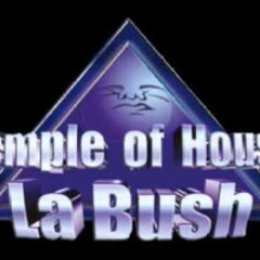 Ceelux - La Bush Memories