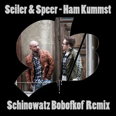 Seiler & Speer - Ham kummst (Schinowatz Remix)