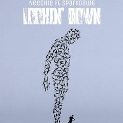Neechie ft. SparkDawg - Lookin Down
