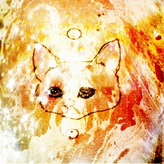 Rainbow Prophet Cat Vs False Flag