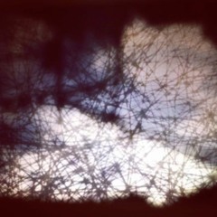 Branching Upside Down
