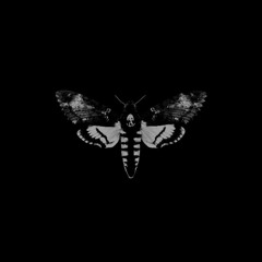 KDP (Techno)