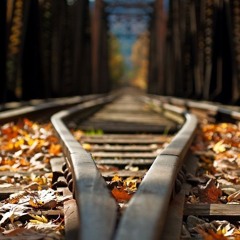 Sins Will Get You Punished In Your Grave By Abu ‘Abdis Salaam Siddiq Al Juyaanee