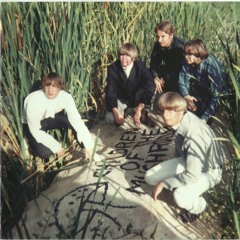 Children Of The Mushroom - You Can't Erase A Mirror