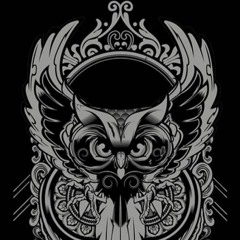 Night Owl Radio 014 ft. Paul van Dyk