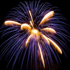 ��SilvesterCut��