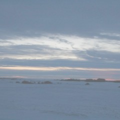 BEDDINGTON HEIGHTS - March 6 2014