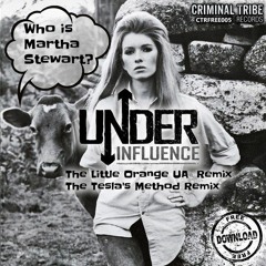 Who Is Martha Stewart? (The Little Orange Ua Remix)