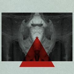 Selectone - Detachment - HYPERCUBE Remix