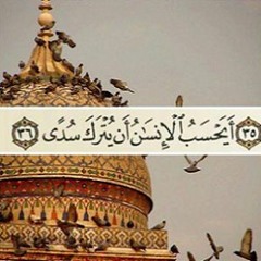 آخر سورة القيامة  للشيخ عبدالله كامل