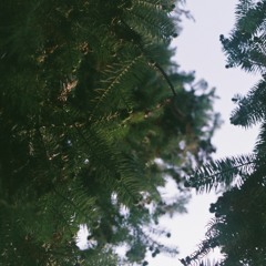 August_2015