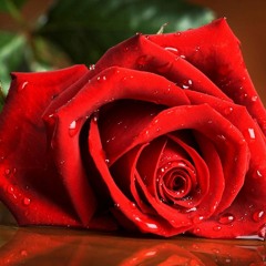 To Make You Feel My ❤️ - A Billy Joel Cover