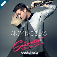 Andy Nicolas - Señorita (BeatGhosts Remix)
