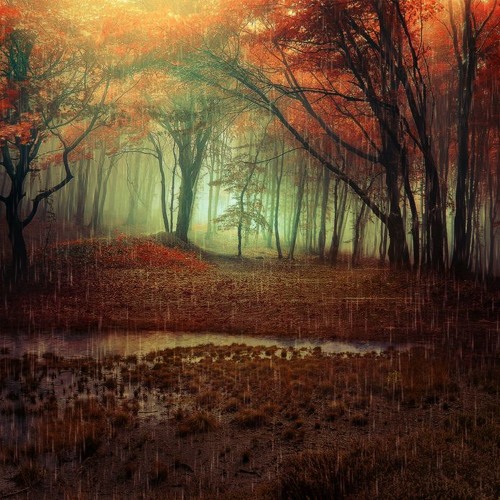November Rain Dub Techno Set (Vinyl Only)