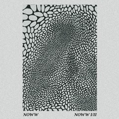 NOWW - NOWW I - II - 01 Chasm