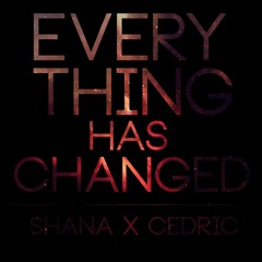 Everything Has Changed (feat. Cedric G.M) - Taylor Swift