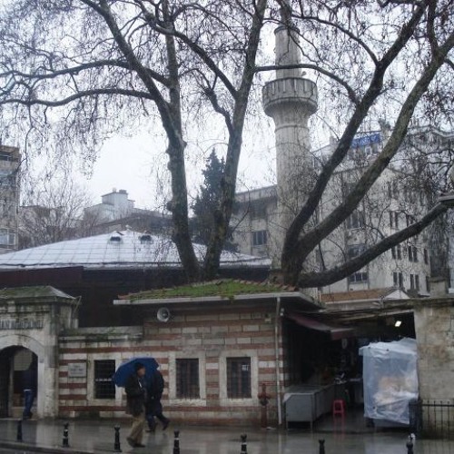 mehmet ali erbile noldu moli çizgi filmi
