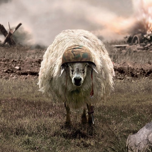 Stream Warrior Sheep (Original Mix) by FORNER | Listen online for