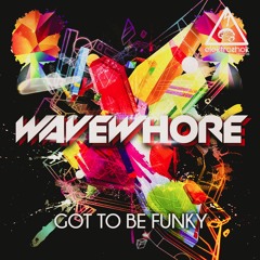 Wavewhore - "Got To Be Funky" - Elektroshok Records