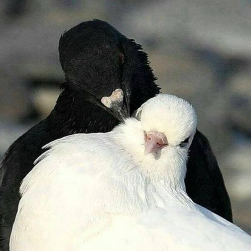 هكذا من يحبك  <3
