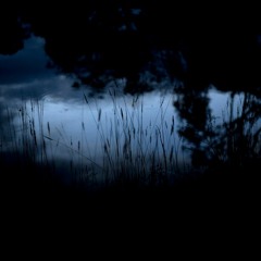 Sangre De Luz