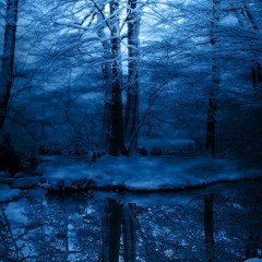 j biebs - Hotline Bling (Remix)