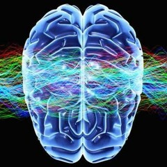 Brain Reactivity By Spicimen