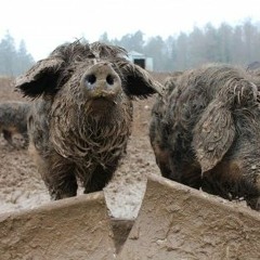 Djset @ Container City 14.11.2015