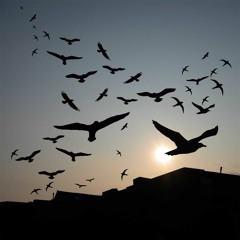 Langgas | @elsasyefira