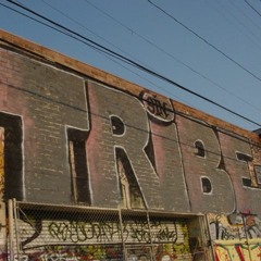 tribe ,hardtek, ...
