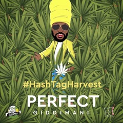 I Love Weed/Perfect Giddimani/#HashTagHarvest