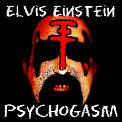 Elvis Einstein - Psychogasm (FREE DOWNLOAD!!!)
