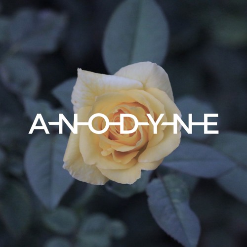 Anodyne (Unfinished 2)