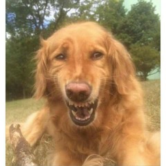 STAYFRMROUNDME #TRILL/MO