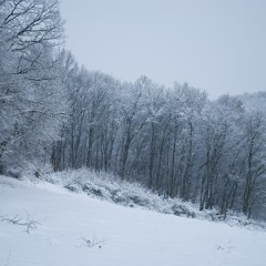 The Legend of Zelda - Twilight Princess - Minda's Lament (Wintery Arrangement)