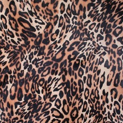 Leopard Print Elevator