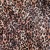 Artwork for Leopard Print Elevator