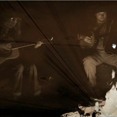 Hillbilly Hippie (live)