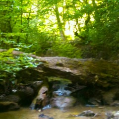 هر نفس از پرده ای ساز دگر