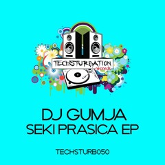 DJ Gumja - Seki Prasica (Original Mix) TECHSTURB050
