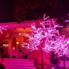 Wildest dream - Taylor Swift (ukulele cover)