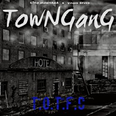 TowNGanG - Truth Is