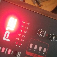 DSI Prophet 12 Patches - BoBSwanS Demo 2